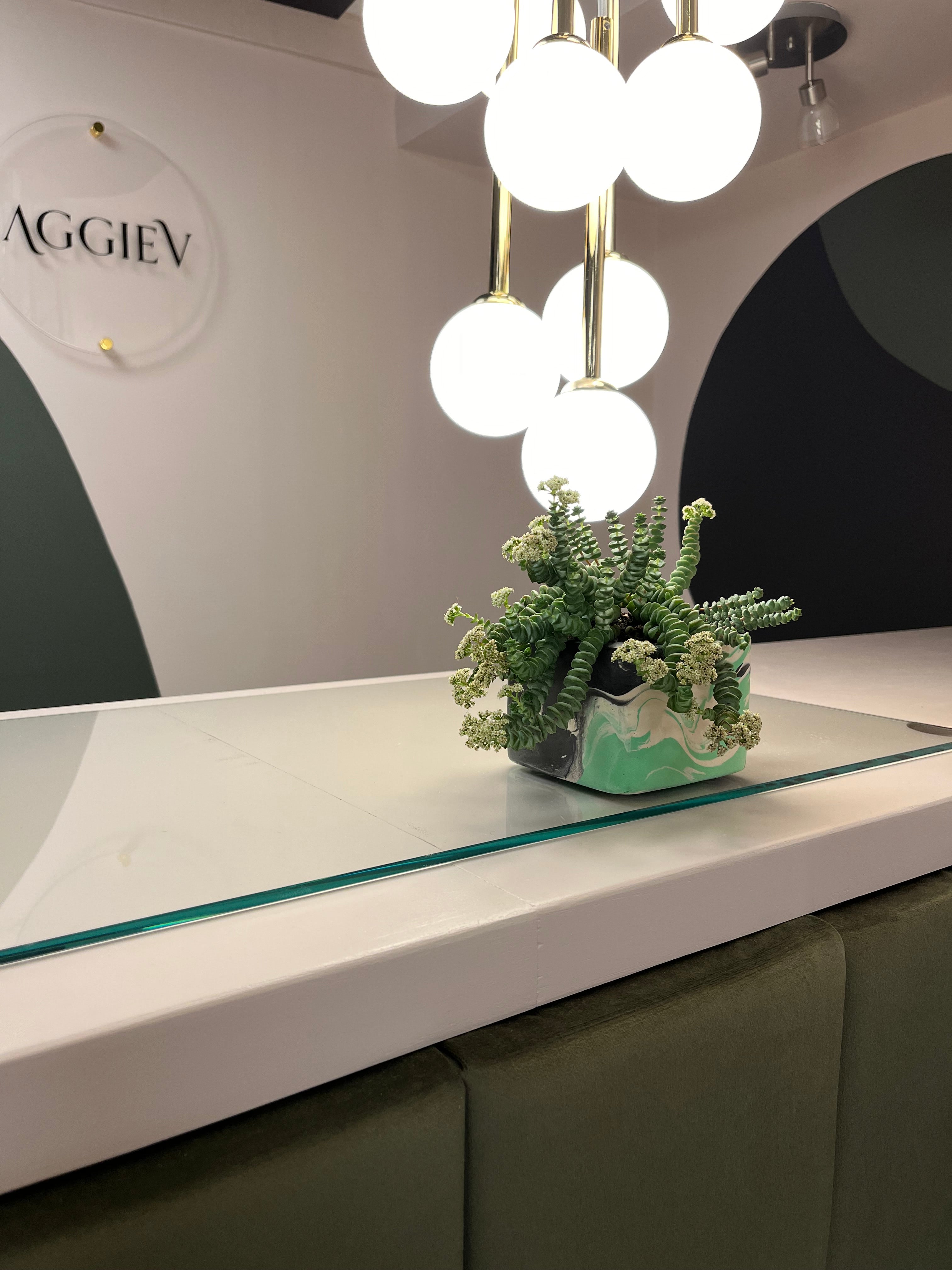 aggiev, unusual plant, contemporary chandelier, retail space, retail interior design