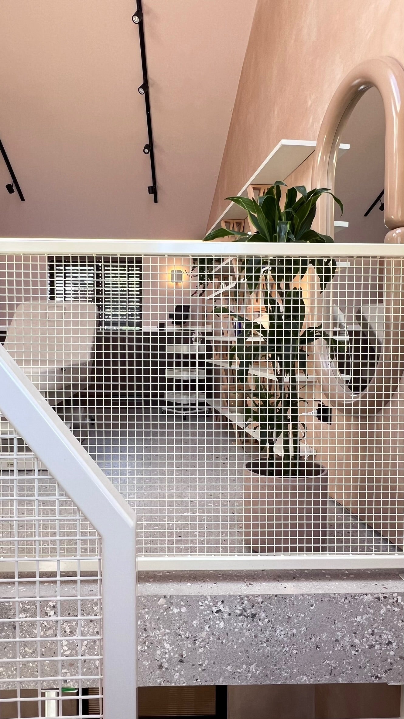 Glossy nude colour full length mirror by Cult Furniture, black ceiling spotlight tracks, powder-coated mesh staircase designed by House of Bo, large plant in neutral pot