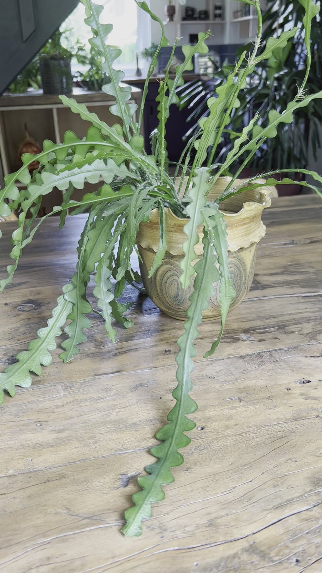 Swedish Vintage Ceramic Handmade Pot