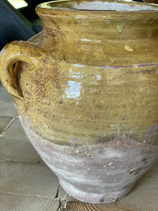 Nut Oil Glazed Pot, Pale Creamy Mustard
