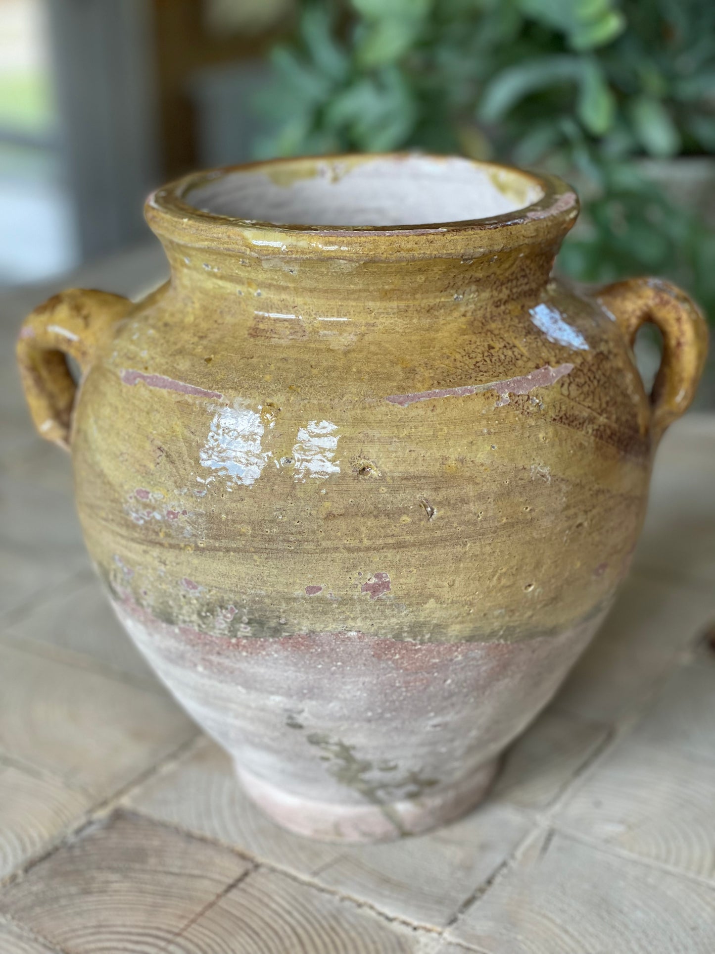 Nut Oil Glazed Pot, Pale Creamy Mustard