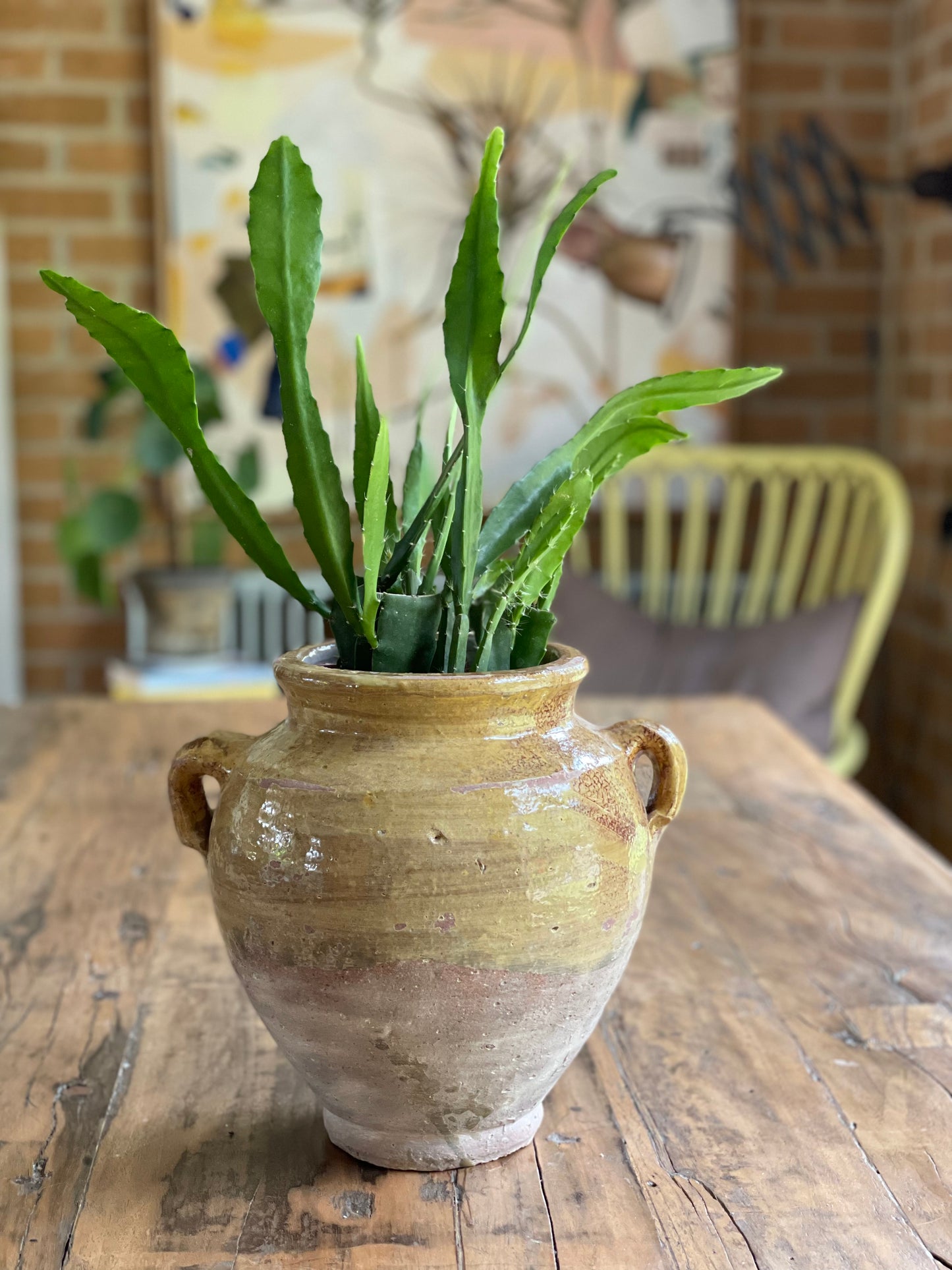 Nut Oil Glazed Pot, Pale Creamy Mustard