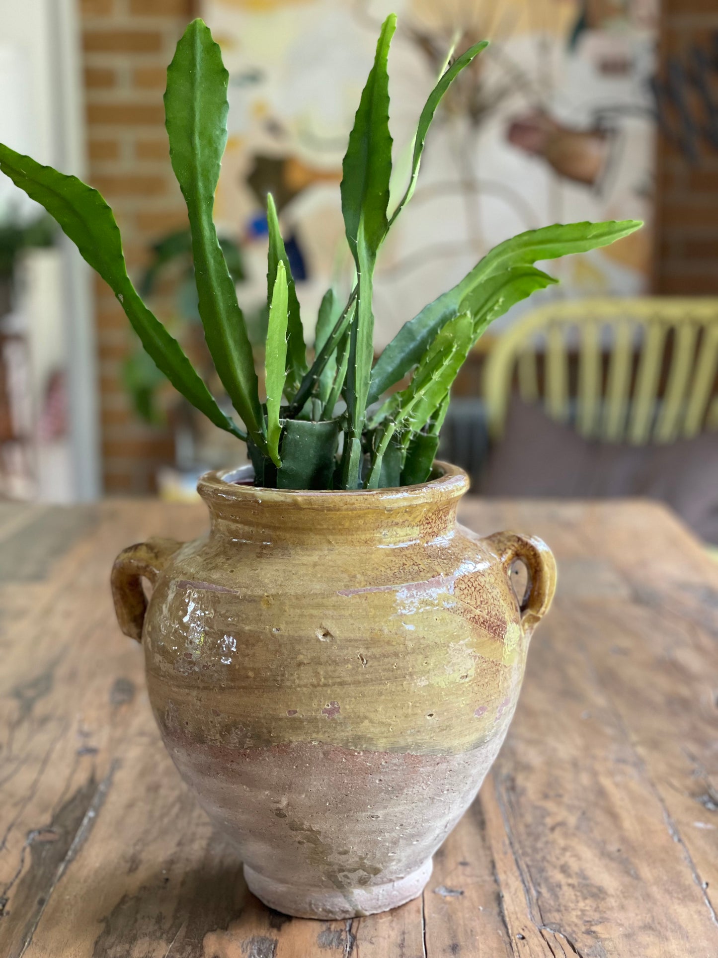 Nut Oil Glazed Pot, Pale Creamy Mustard