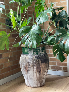 XLarge Tunisian Pot Green